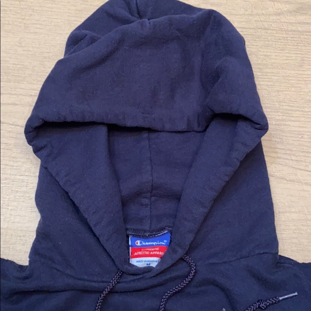 Champion University of Michigan Hoodie - Picture 3 of 5